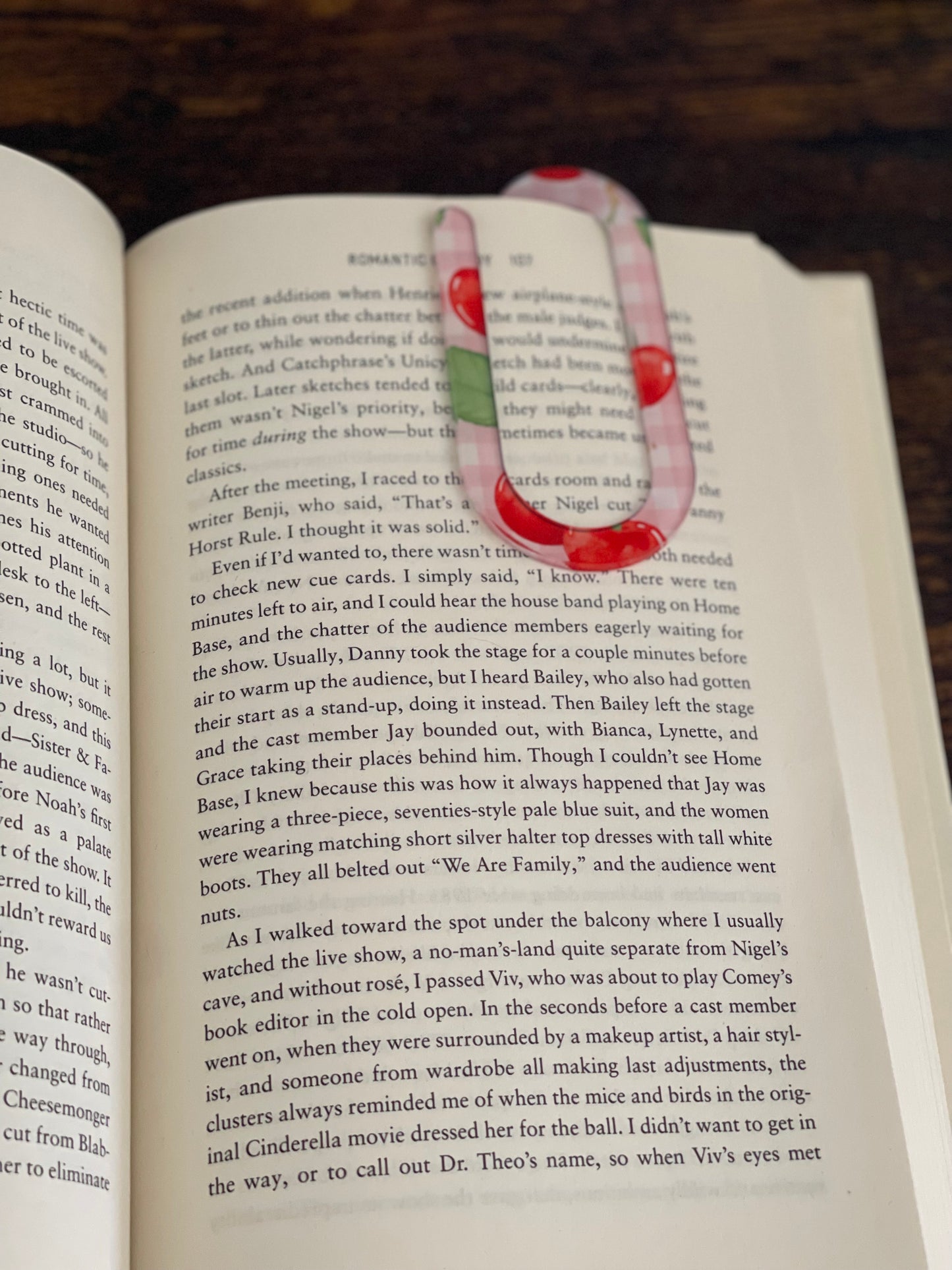 Jumbo Paper Clip Bookmarks